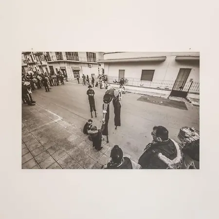 Il Trampoliere